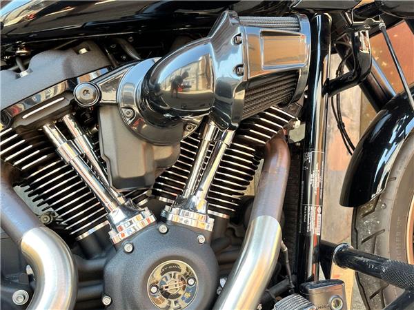 2022 Harley-Davidson Softail