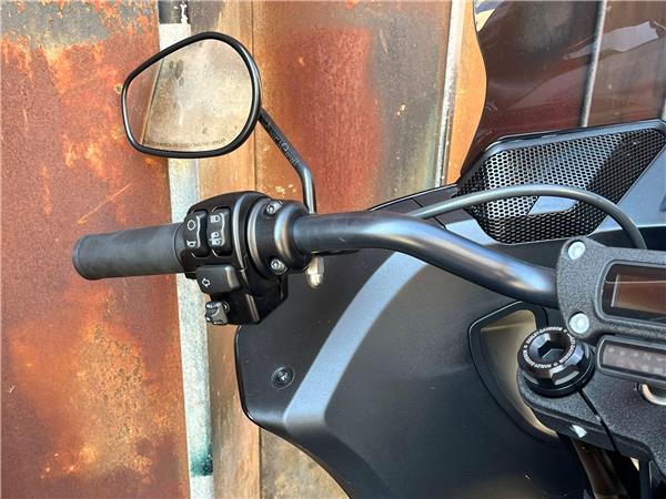 2022 Harley-Davidson Softail