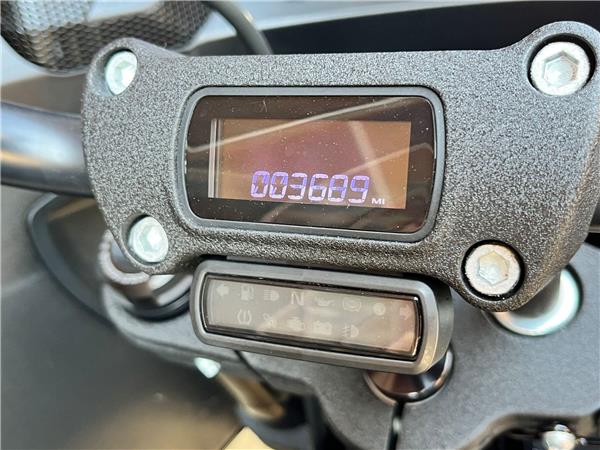 2022 Harley-Davidson Softail