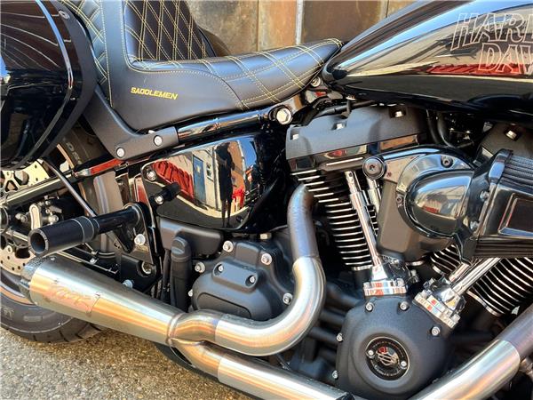 2022 Harley-Davidson Softail