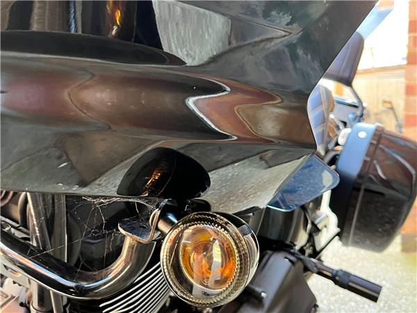 2022 Harley-Davidson Softail