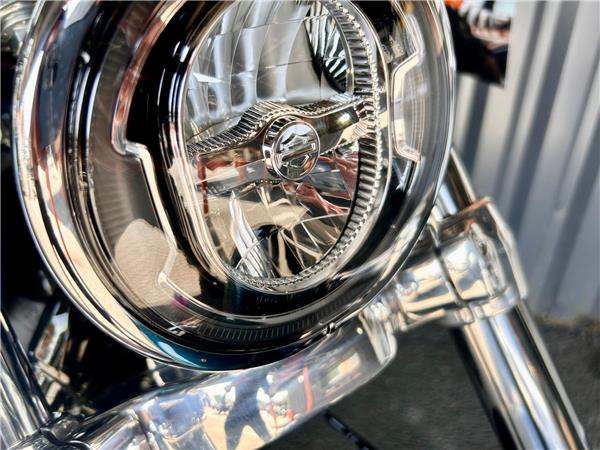 2026 Harley-Davidson Softail