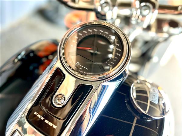 2026 Harley-Davidson Softail