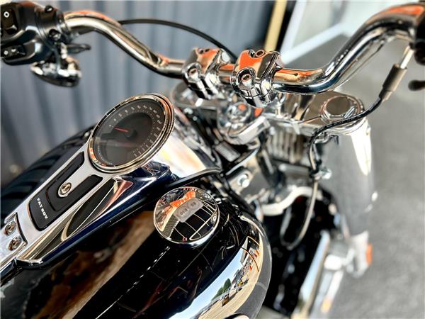 2026 Harley-Davidson Softail