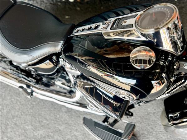 2026 Harley-Davidson Softail