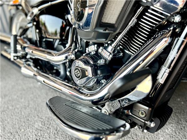 2026 Harley-Davidson Softail