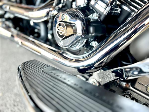 2026 Harley-Davidson Softail