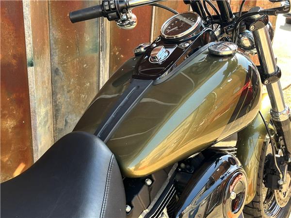 2016 Harley-Davidson Dyna