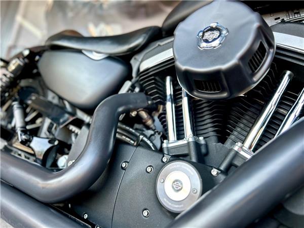 2013 Harley-Davidson Sportster