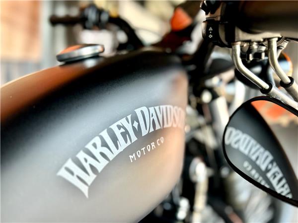 2013 Harley-Davidson Sportster