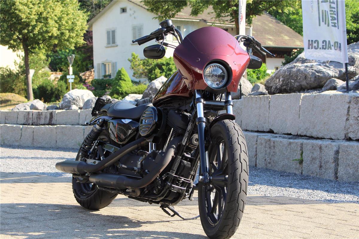 2019 harley-davidson XL 1200 NS Iron ABS
