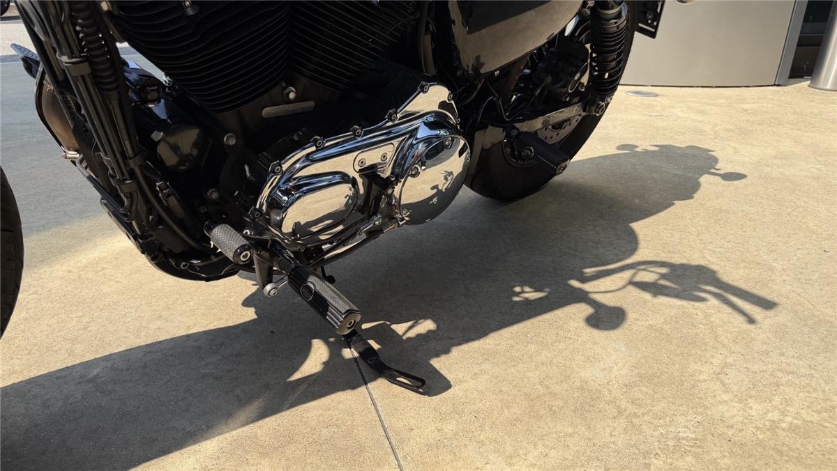 2018 harley-davidson XL 1200 XS Sportster Forty Eight Special