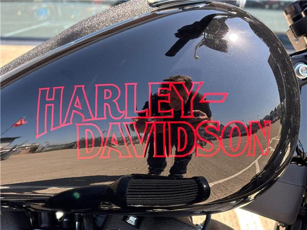 2026 HARLEY-DAVIDSON SOFTAIL FXLRS LOW RIDER S