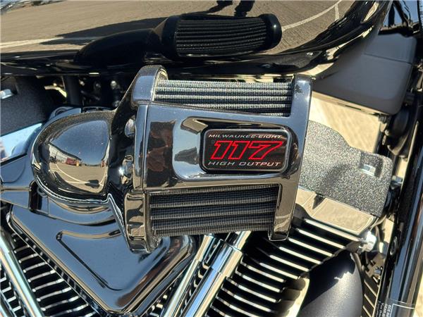2026 HARLEY-DAVIDSON SOFTAIL FXLRS LOW RIDER S