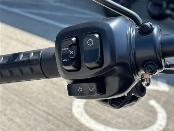 2026 HARLEY-DAVIDSON SOFTAIL FXLRS LOW RIDER S