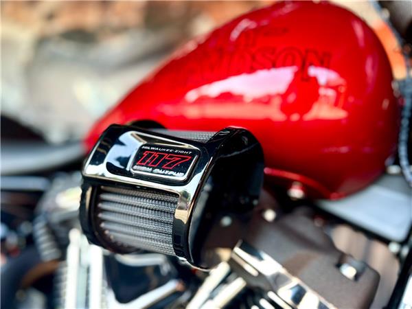2026 Harley-Davidson Softail
