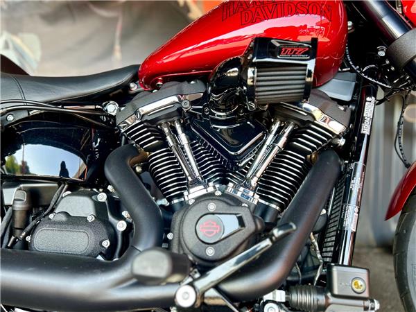 2026 Harley-Davidson Softail