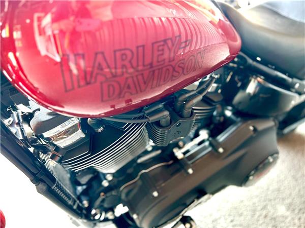 2026 Harley-Davidson Softail