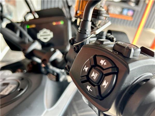 2024 Harley-Davidson Pan America