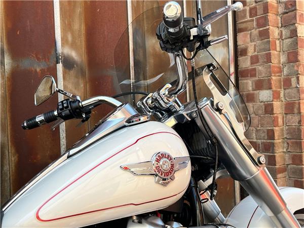 2019 Harley-Davidson Softail