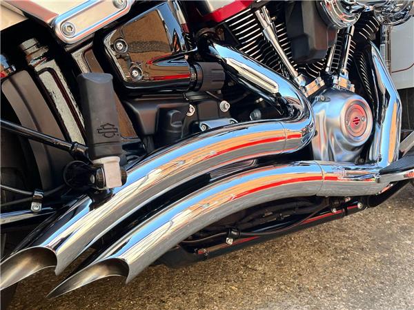 2019 Harley-Davidson Softail