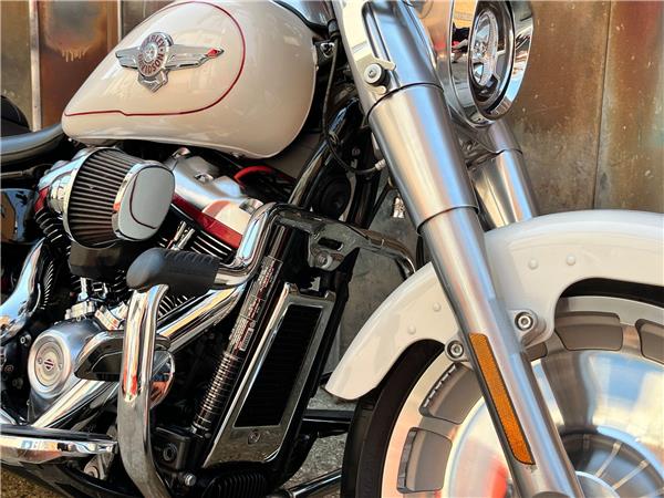 2019 Harley-Davidson Softail