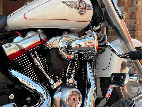 2019 Harley-Davidson Softail