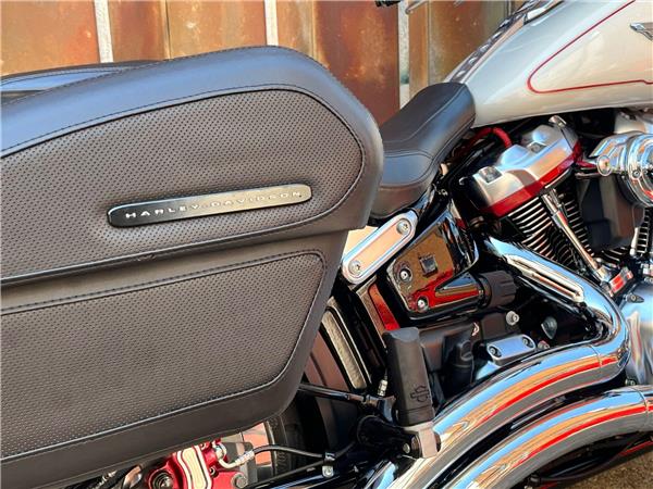 2019 Harley-Davidson Softail