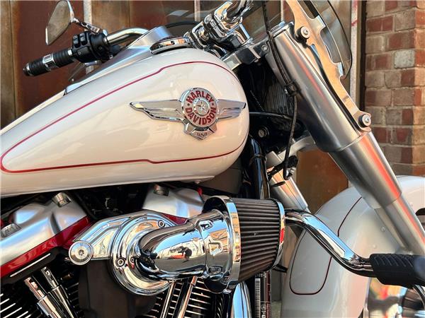 2019 Harley-Davidson Softail