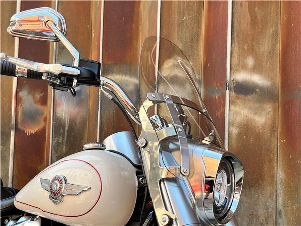 2019 Harley-Davidson Softail