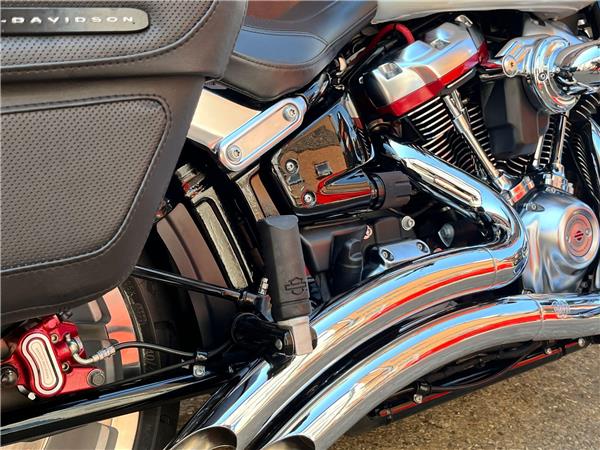 2019 Harley-Davidson Softail