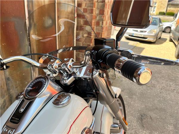 2019 Harley-Davidson Softail