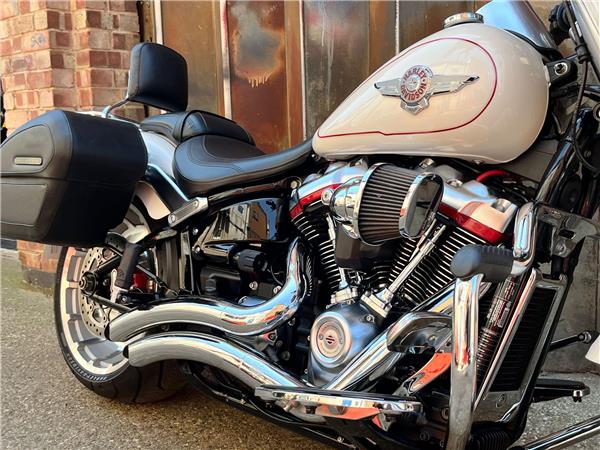 2019 Harley-Davidson Softail
