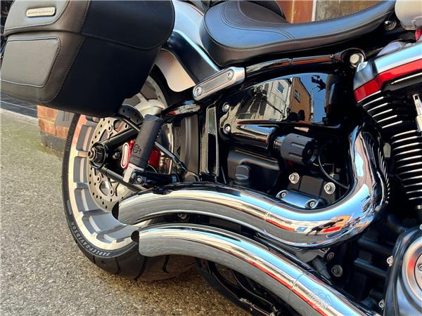 2019 Harley-Davidson Softail