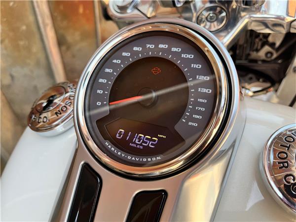 2019 Harley-Davidson Softail
