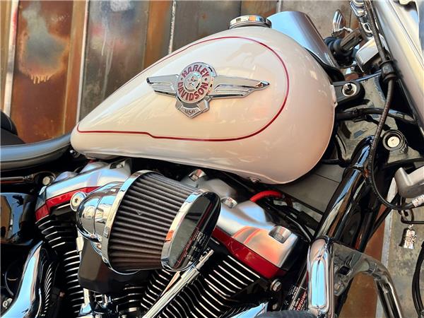 2019 Harley-Davidson Softail