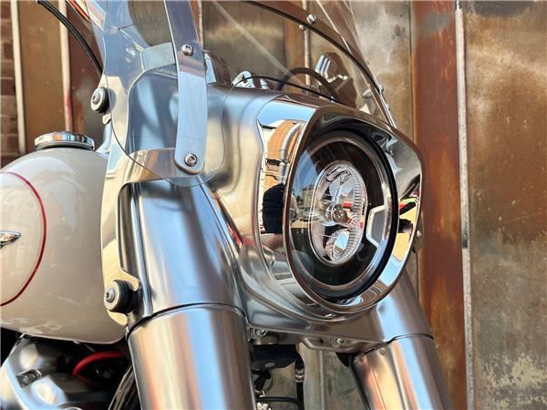 2019 Harley-Davidson Softail
