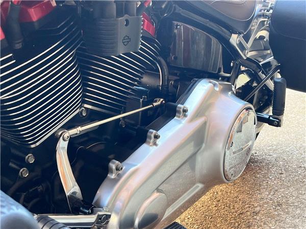 2019 Harley-Davidson Softail