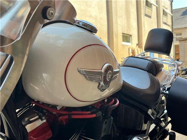 2019 Harley-Davidson Softail