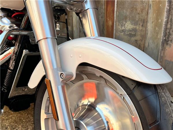 2019 Harley-Davidson Softail