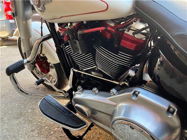 2019 Harley-Davidson Softail