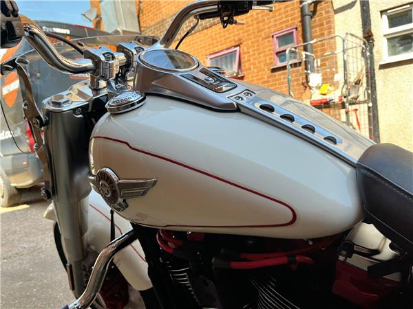 2019 Harley-Davidson Softail