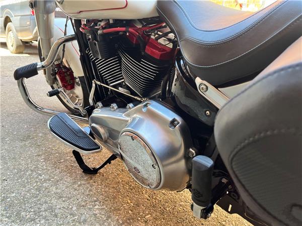2019 Harley-Davidson Softail