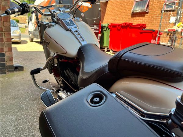 2019 Harley-Davidson Softail