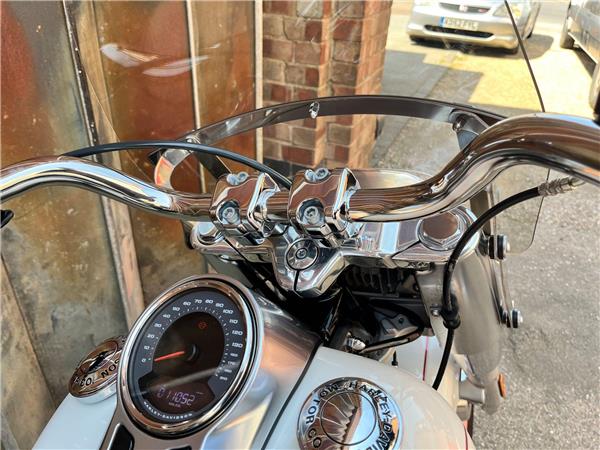 2019 Harley-Davidson Softail