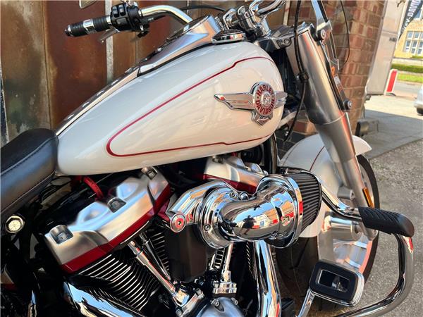 2019 Harley-Davidson Softail