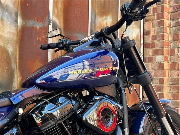 2019 Harley-Davidson Softail