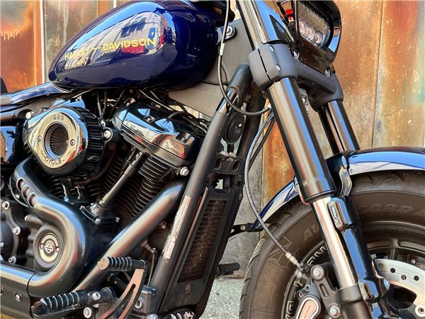 2019 Harley-Davidson Softail