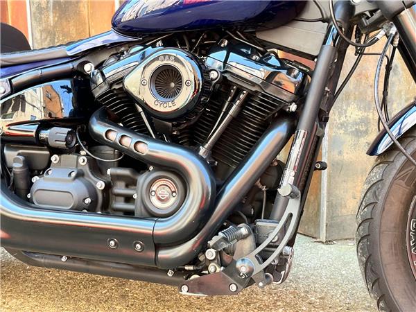 2019 Harley-Davidson Softail