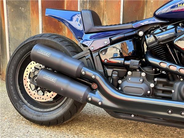 2019 Harley-Davidson Softail